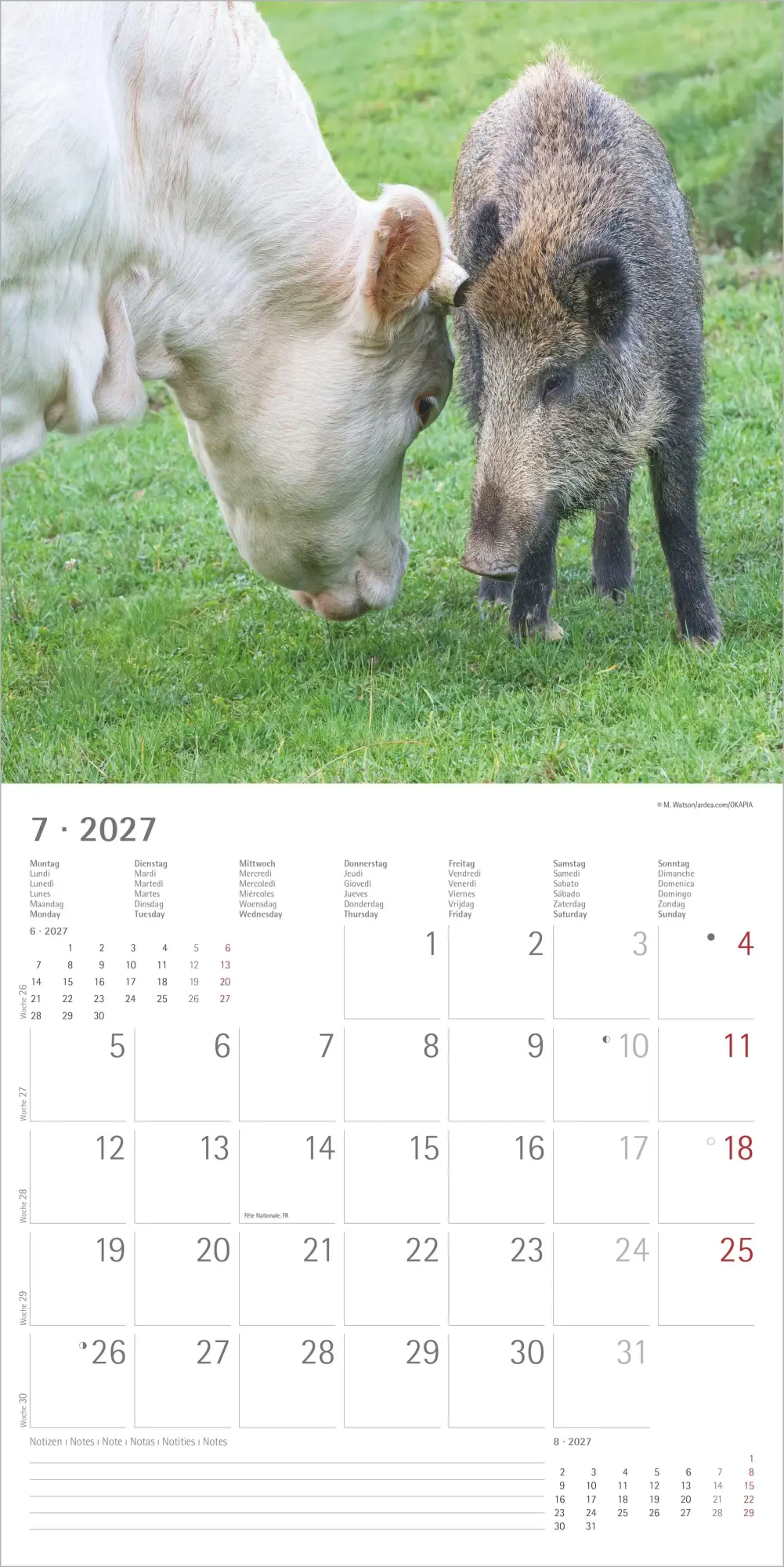 Bild: 4069095013131 | Tierfreundschaften 2027 | Neumann Verlage GmbH &amp; Co KG | Kalender