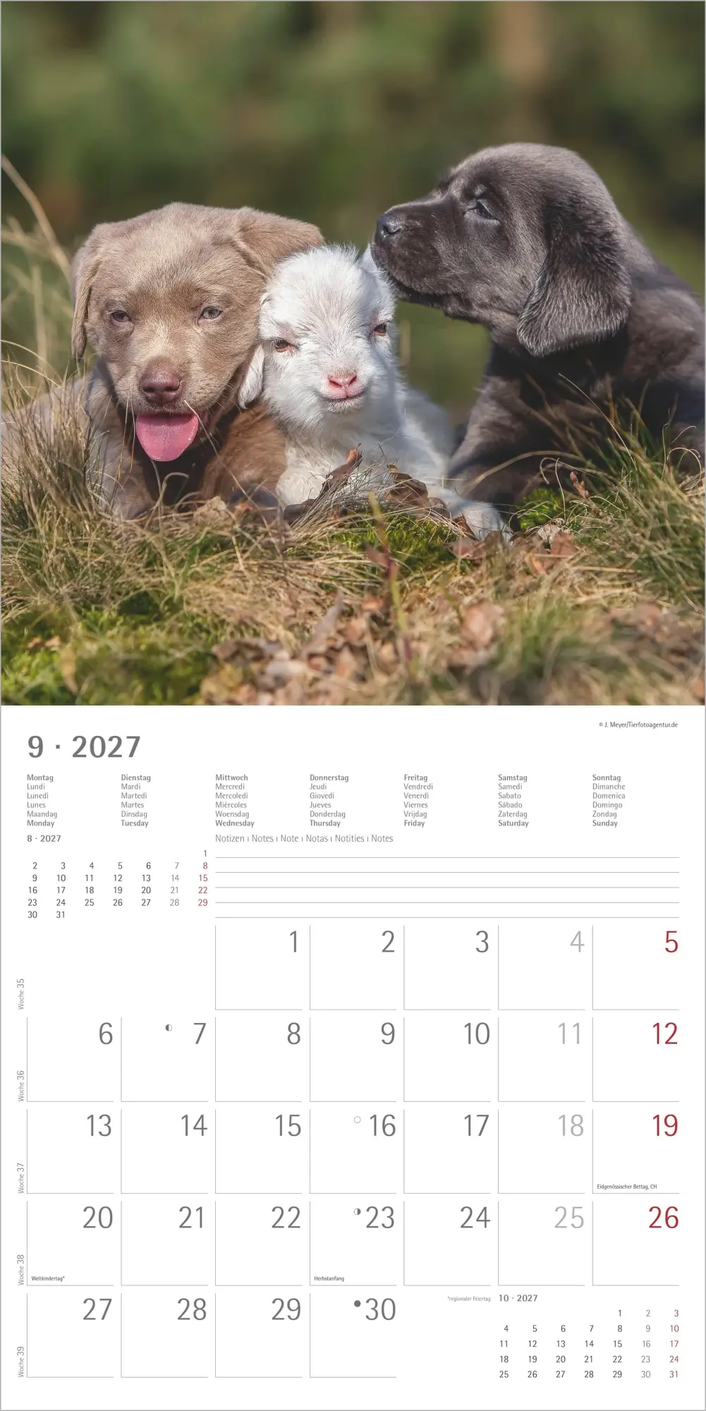 Bild: 4069095013131 | Tierfreundschaften 2027 | Neumann Verlage GmbH &amp; Co KG | Kalender