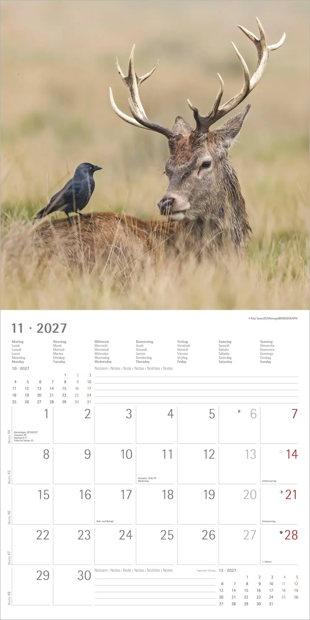 Bild: 4069095013131 | Tierfreundschaften 2027 | Neumann Verlage GmbH &amp; Co KG | Kalender