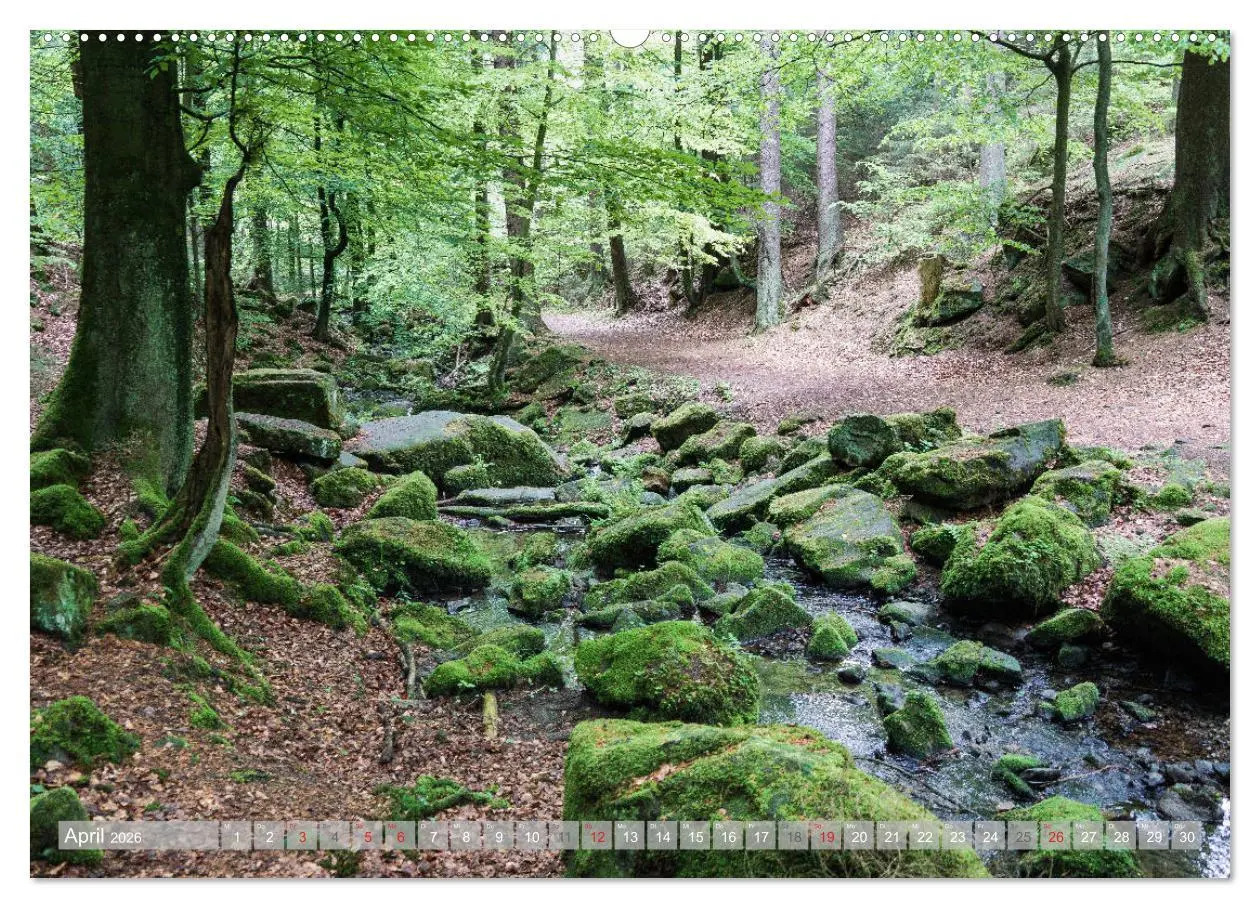 Bild: 9783457693131 | Teutoburger Wald - Natur und Kultur (hochwertiger Premium...