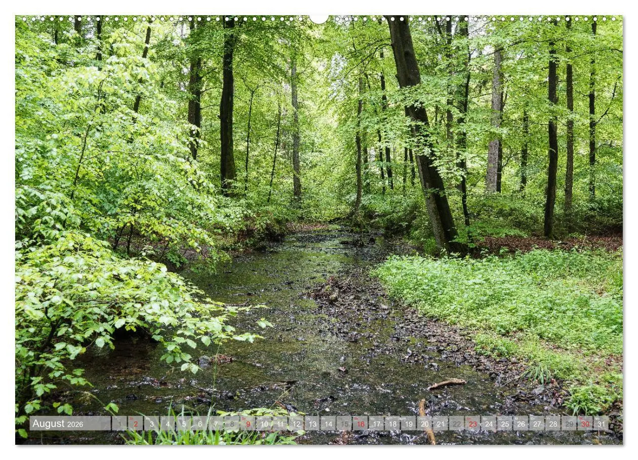 Bild: 9783457693131 | Teutoburger Wald - Natur und Kultur (hochwertiger Premium...