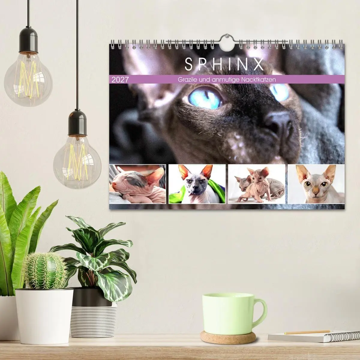 Bild: 9783569493131 | Sphinx. Grazile und anmutige Nacktkatzen (Wandkalender 2027 DIN A4...