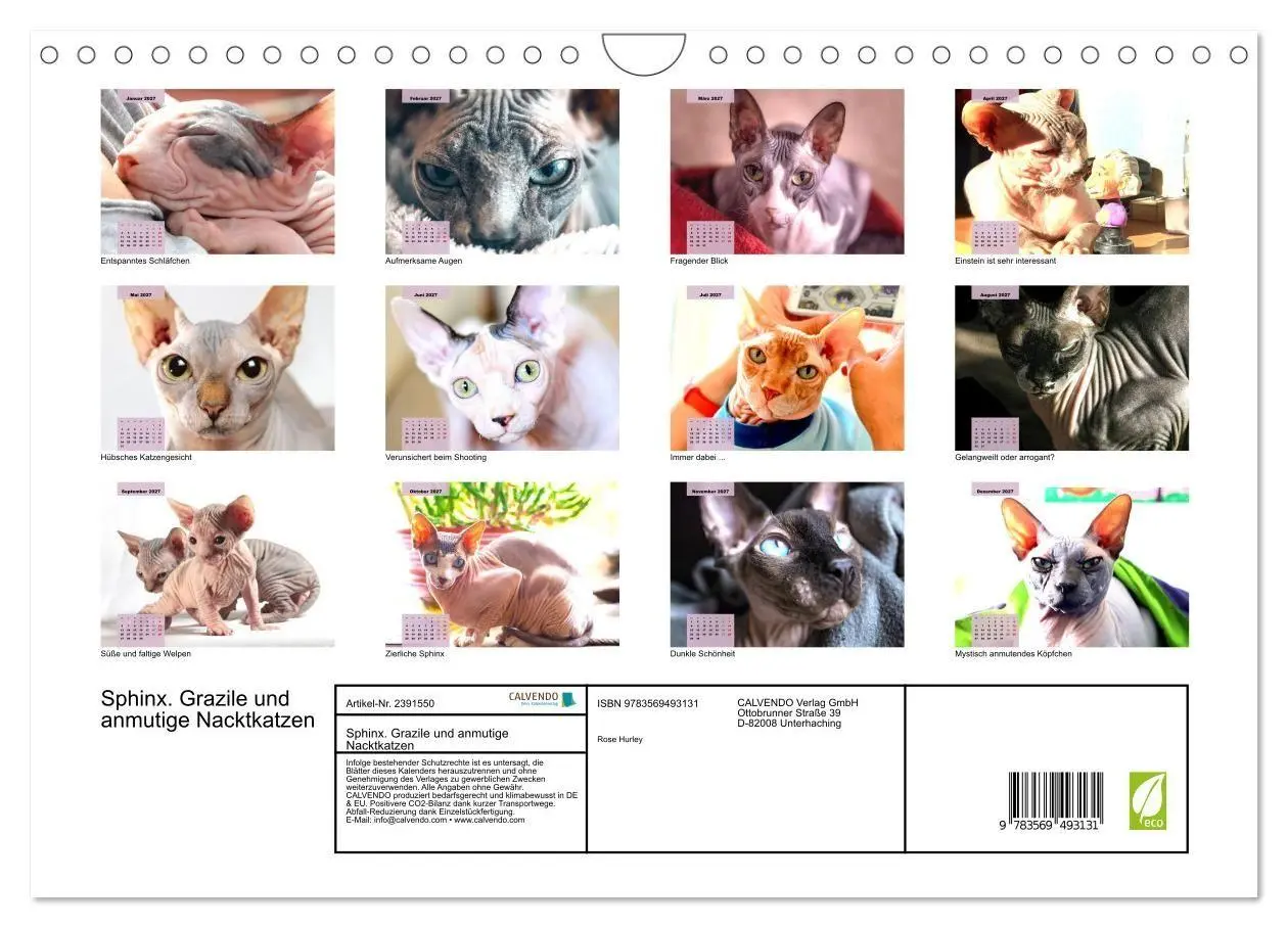 Bild: 9783569493131 | Sphinx. Grazile und anmutige Nacktkatzen (Wandkalender 2027 DIN A4...