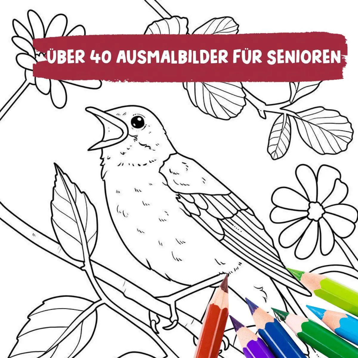 Bild: 9783735883131 | Mein Waldglück | Ausmalen für Senioren | Mila Dierksen | Taschenbuch