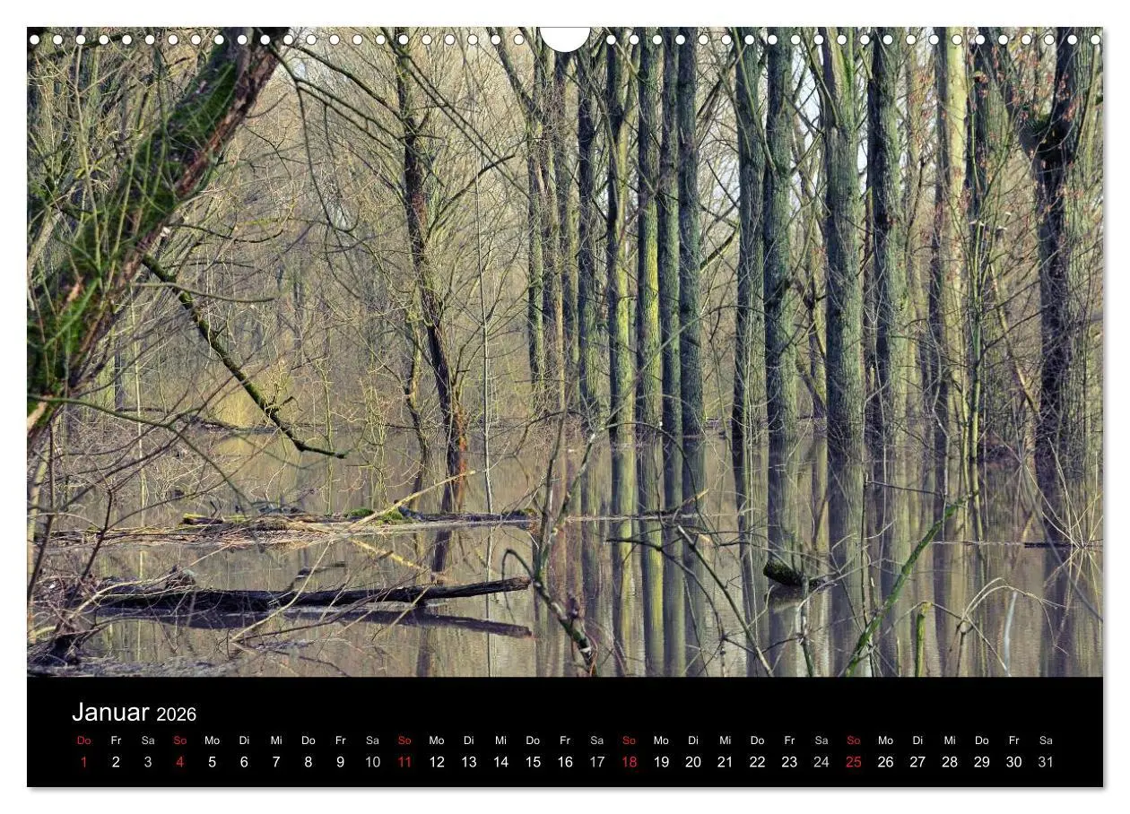 Bild: 9783457993231 | Urdenbach / Odebach (Wandkalender 2026 DIN A3 quer), CALVENDO...