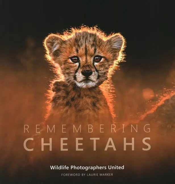 Cover: 9781999643331 | Remembering Cheetahs | Buch | Remembering Wildlife | Englisch | 2020