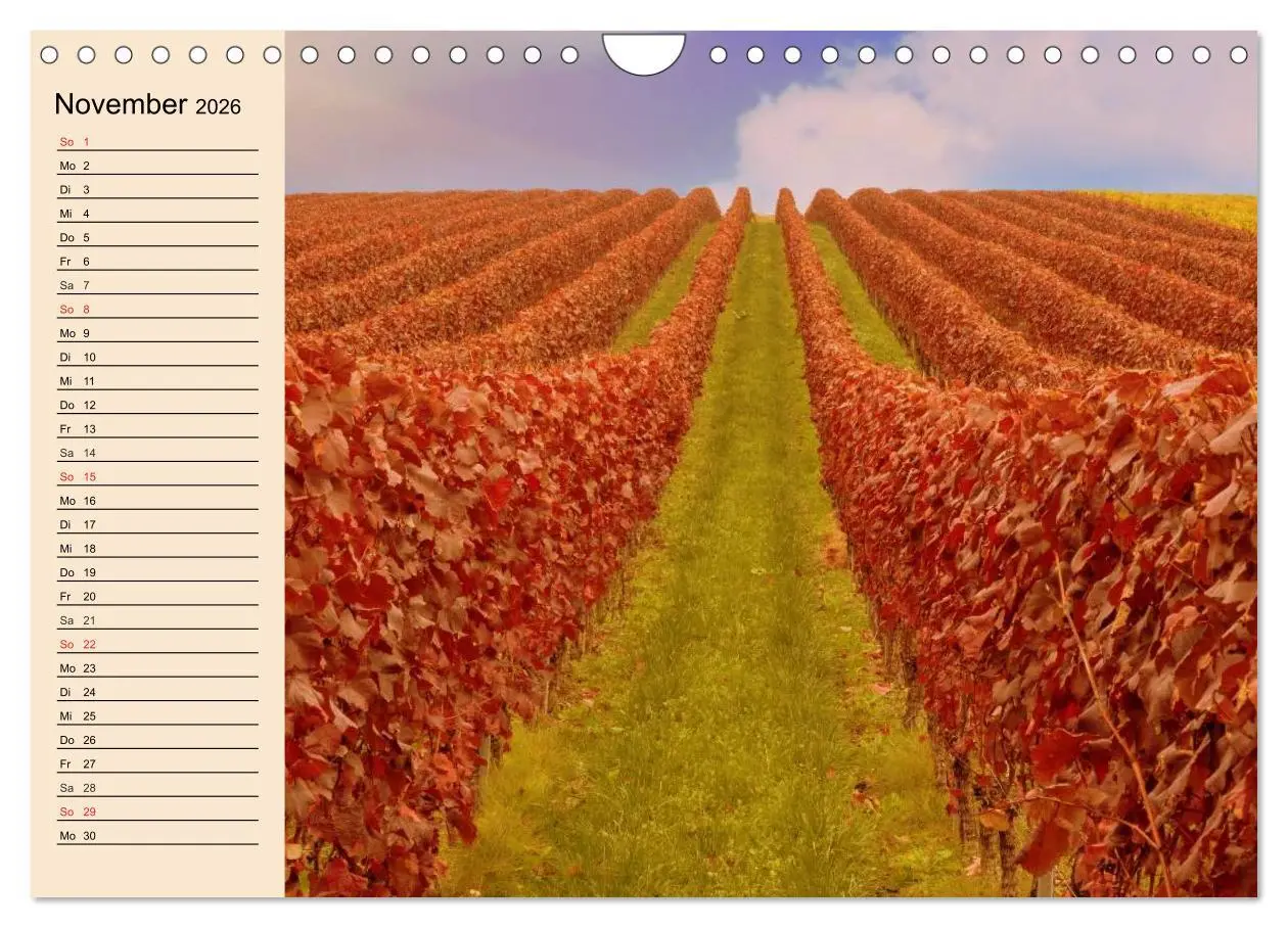 Bild: 9783457983331 | Weinanbau. Von der Traube zum Wein (Wandkalender 2026 DIN A4 quer),...