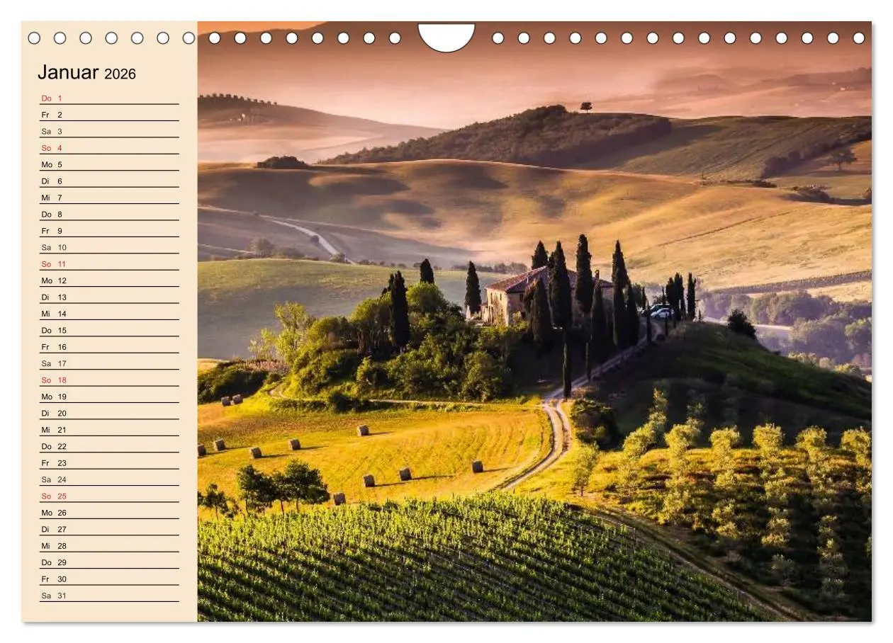 Bild: 9783457983331 | Weinanbau. Von der Traube zum Wein (Wandkalender 2026 DIN A4 quer),...