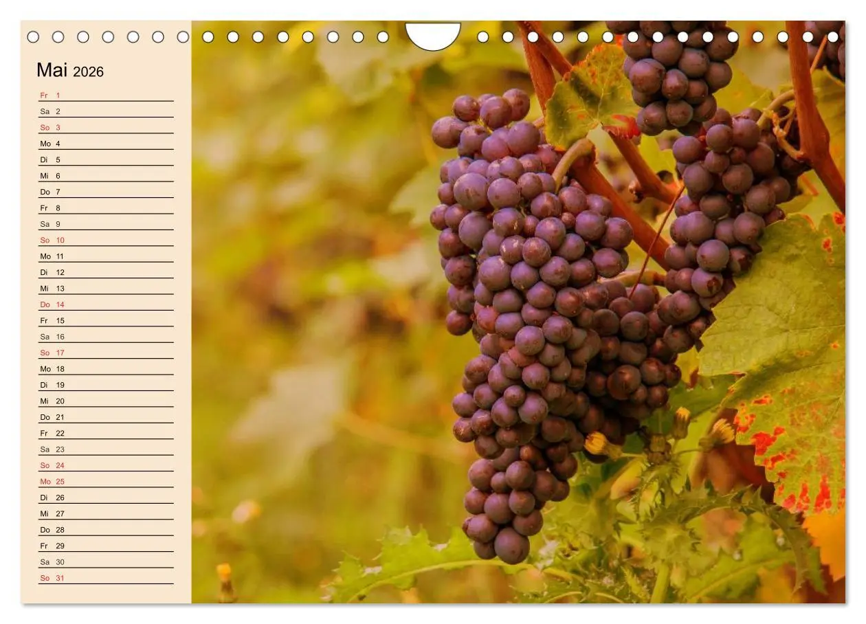 Bild: 9783457983331 | Weinanbau. Von der Traube zum Wein (Wandkalender 2026 DIN A4 quer),...