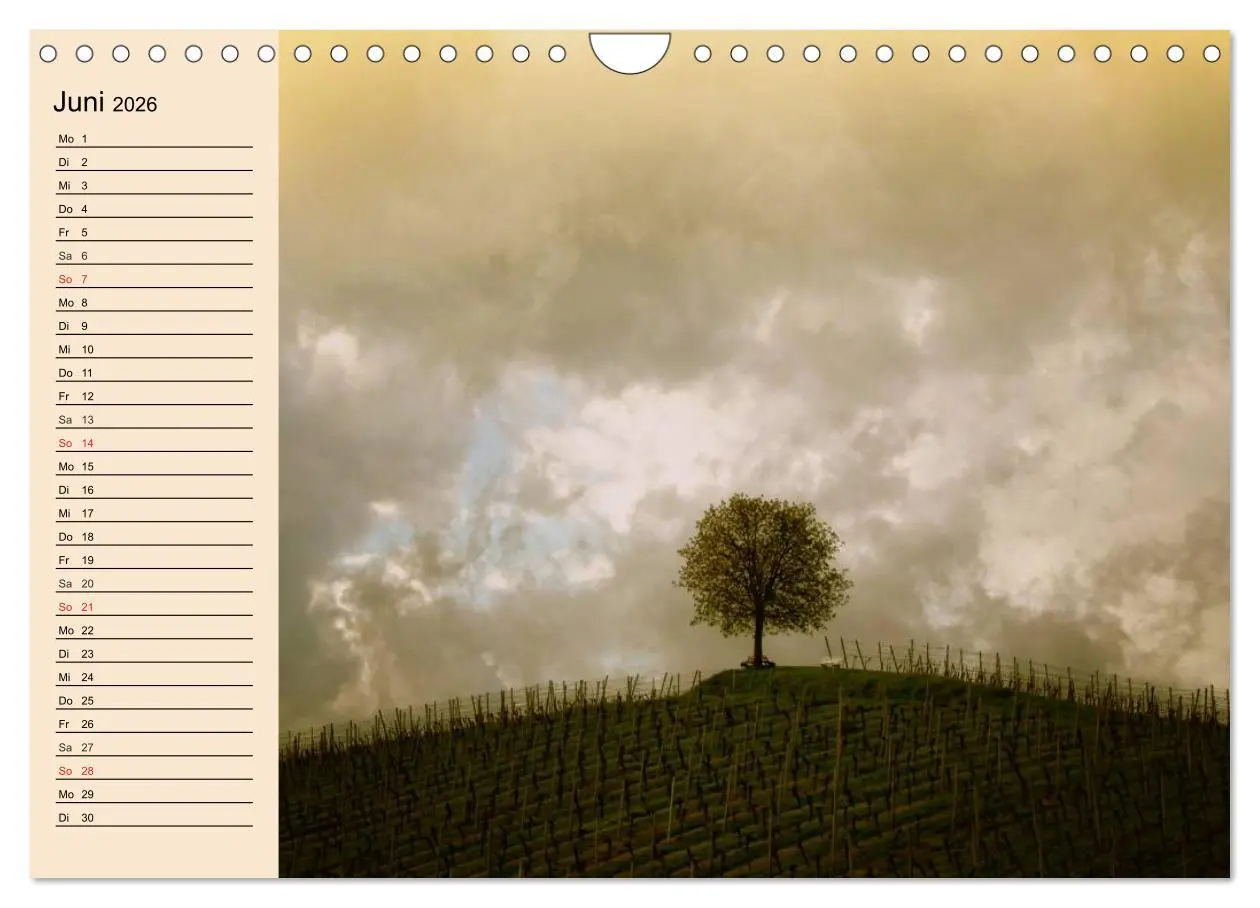 Bild: 9783457983331 | Weinanbau. Von der Traube zum Wein (Wandkalender 2026 DIN A4 quer),...