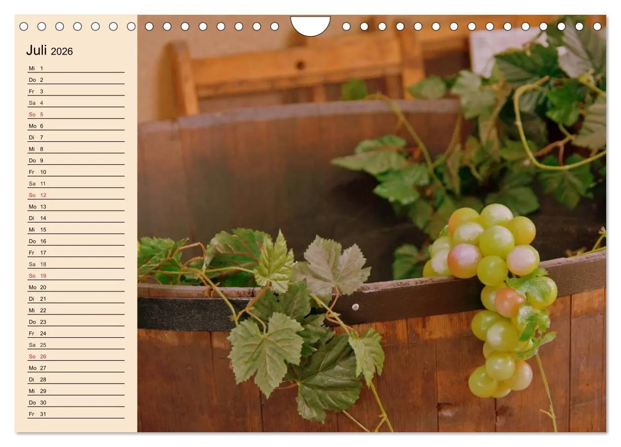 Bild: 9783457983331 | Weinanbau. Von der Traube zum Wein (Wandkalender 2026 DIN A4 quer),...