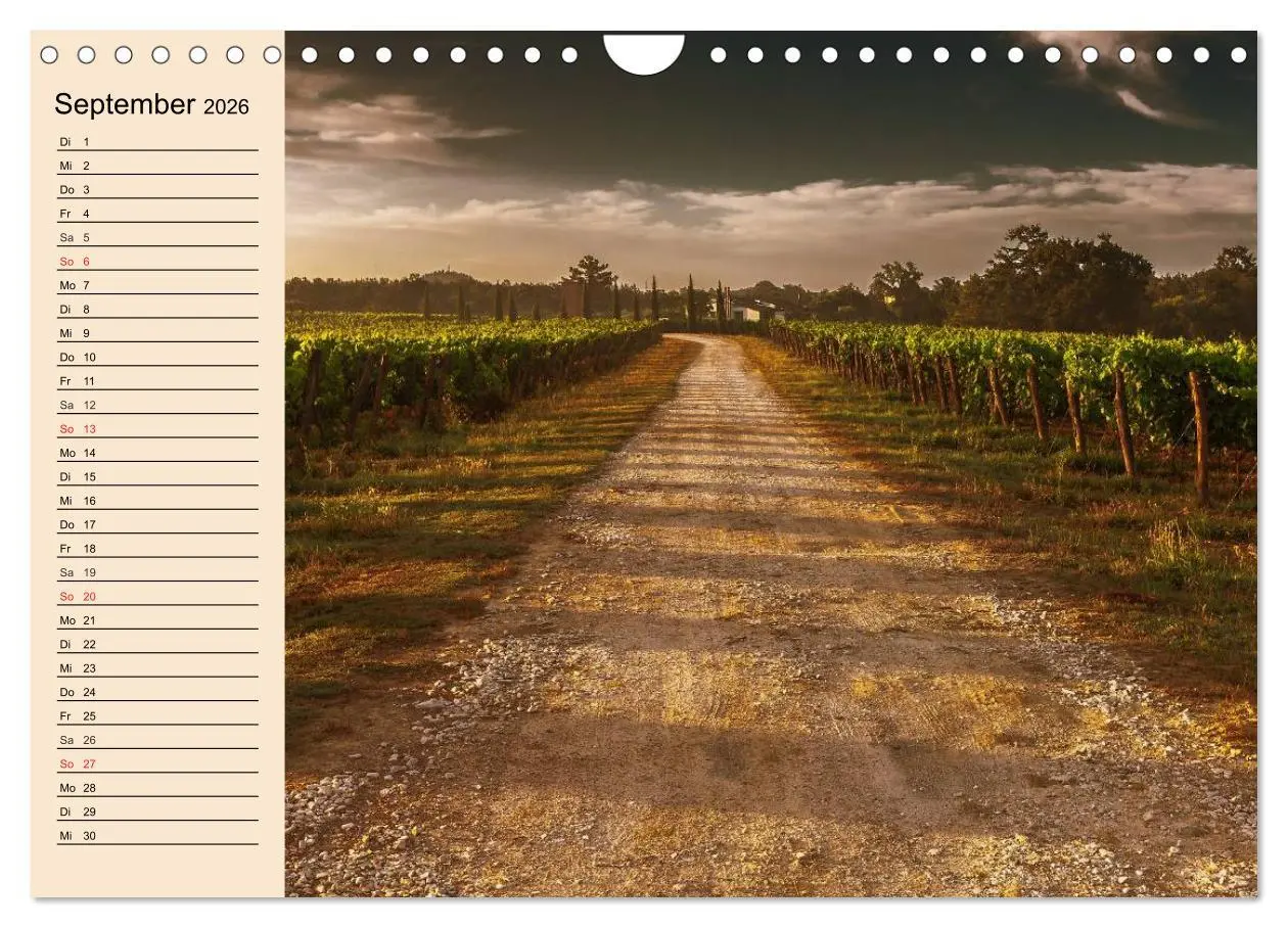 Bild: 9783457983331 | Weinanbau. Von der Traube zum Wein (Wandkalender 2026 DIN A4 quer),...
