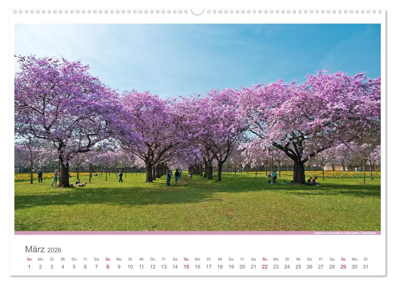 Bild: 9783516213331 | Der Neckar - Unterwegs in Deutschland (Wandkalender 2026 DIN A2...