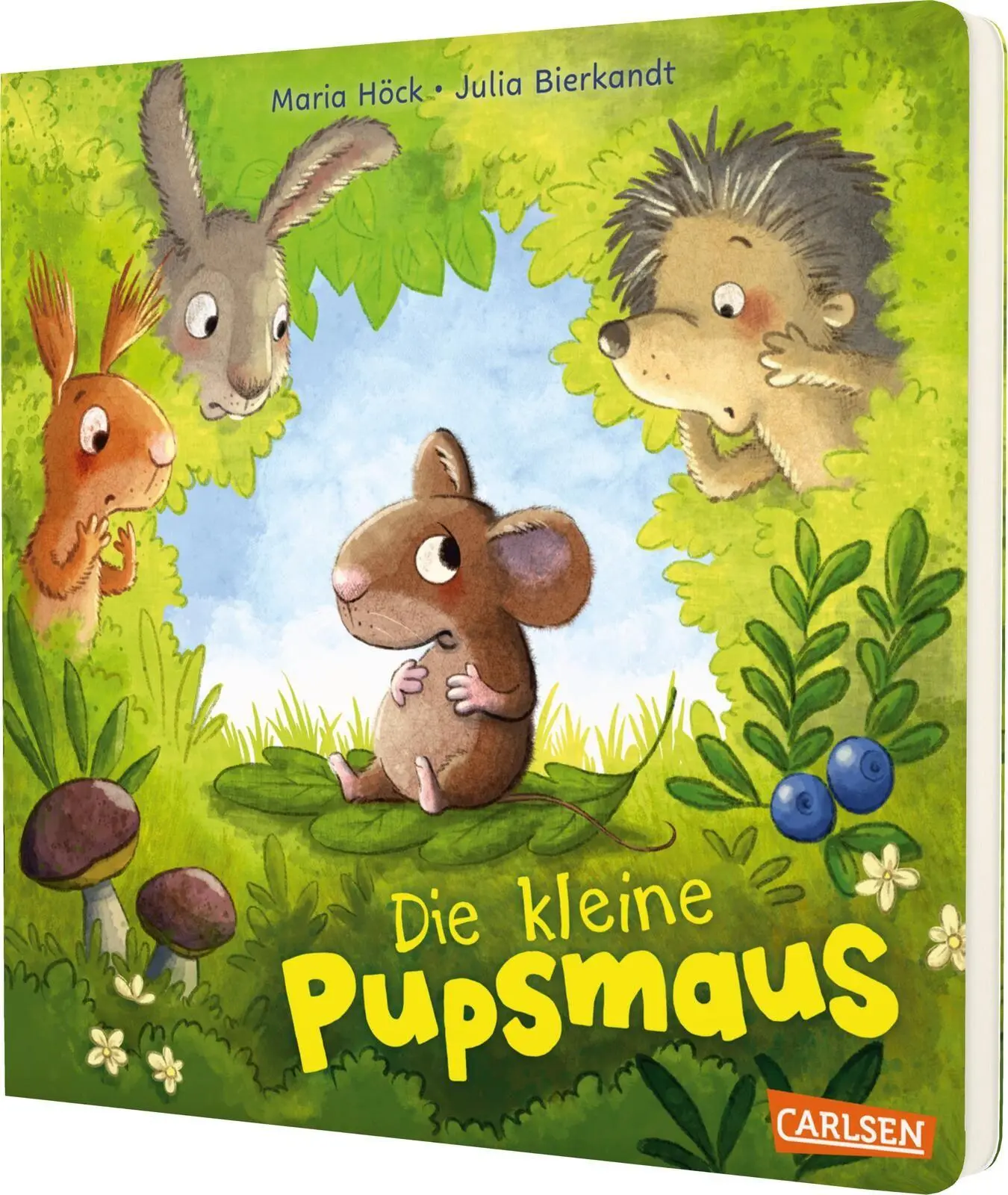 Cover: 9783551173331 | Die kleine Pupsmaus | Reimgeschichte mit Kichergarantie ab 2 | Höck