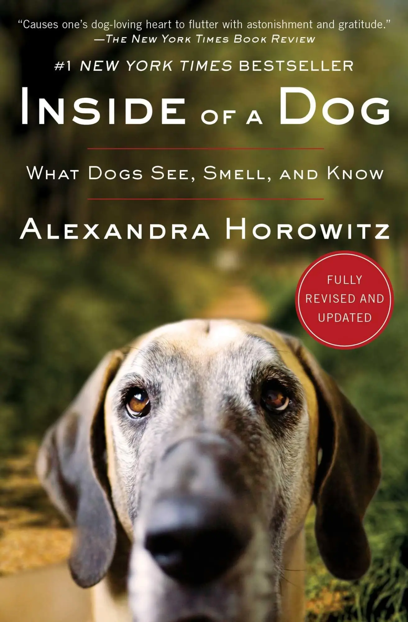 Cover: 9781416583431 | Inside of a Dog | What Dogs See, Smell, and Know | Alexandra Horowitz