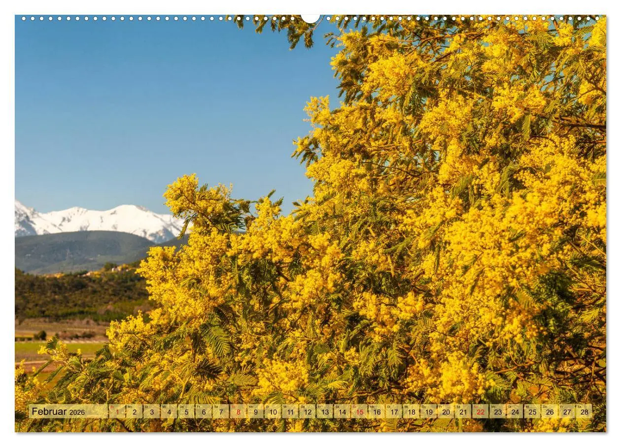 Bild: 9783457663431 | Pyrénées-Orientales. Naturschön: Frankreichs Perle im Süden...