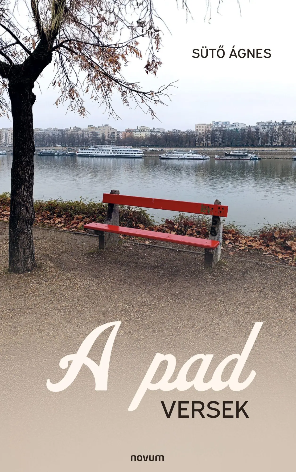 Cover: 9783711613431 | A pad | Versek | Süt¿ Ágnes | Taschenbuch | Ungarisch | 2026