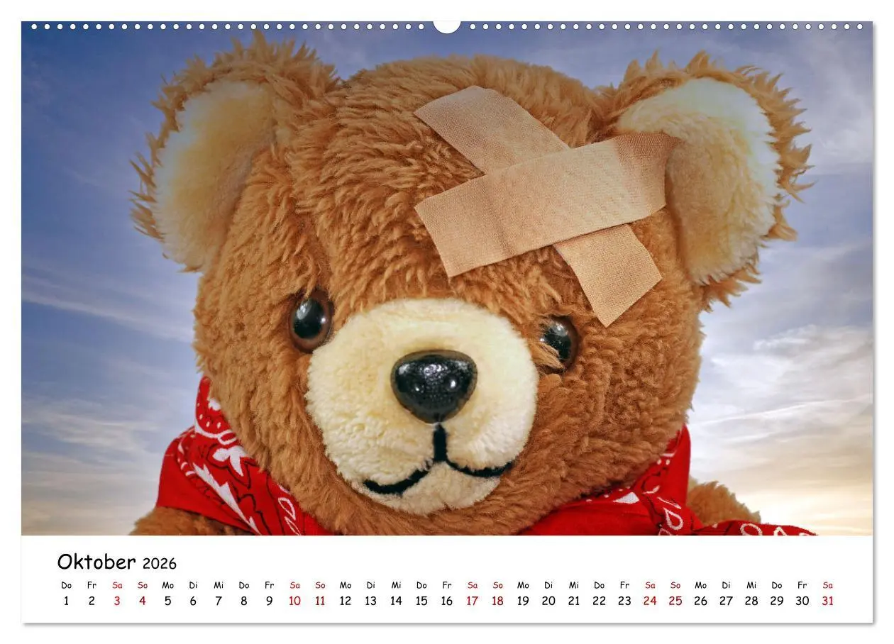 Bild: 9783457583531 | Allerliebste Teddybären (Wandkalender 2026 DIN A2 quer), CALVENDO...