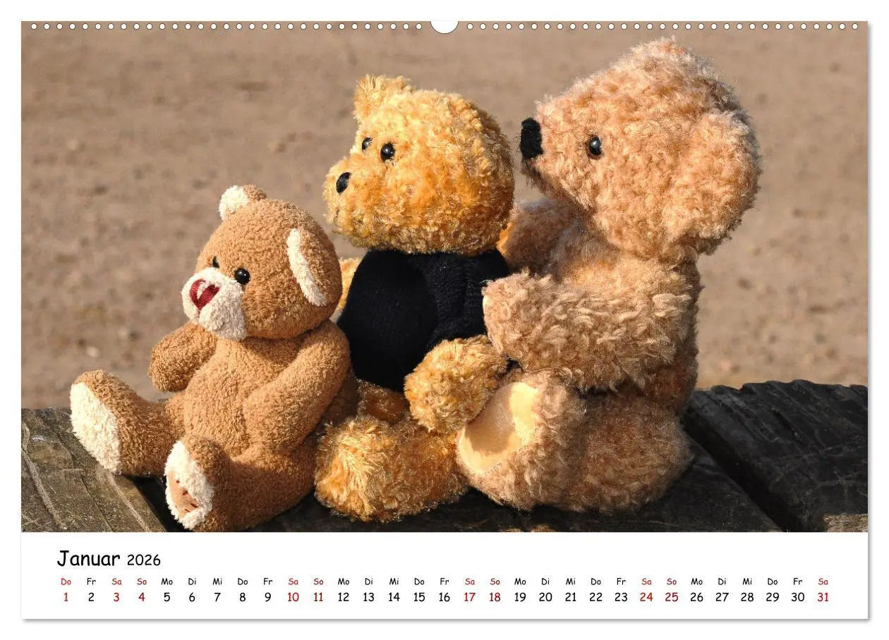 Bild: 9783457583531 | Allerliebste Teddybären (Wandkalender 2026 DIN A2 quer), CALVENDO...