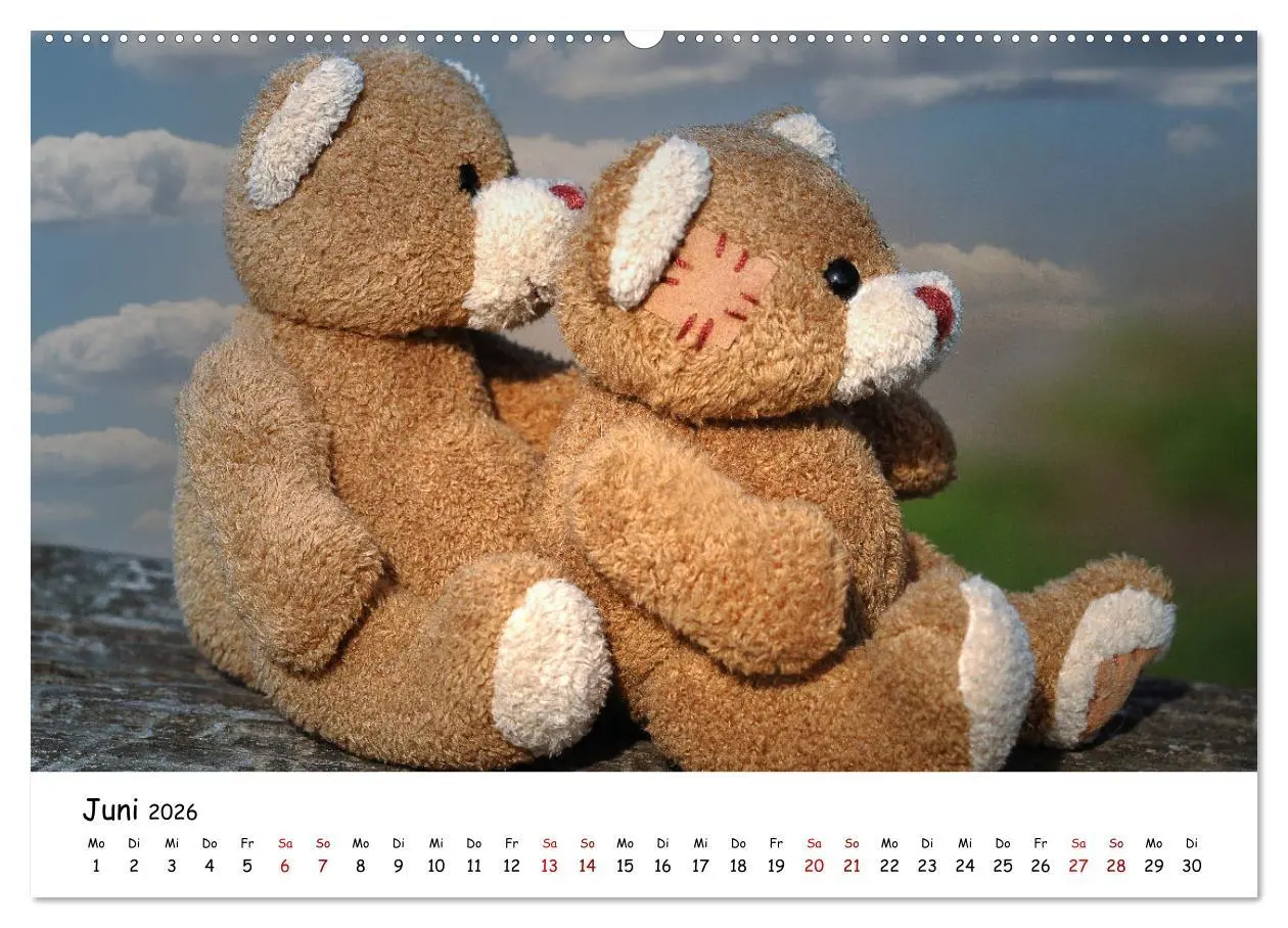 Bild: 9783457583531 | Allerliebste Teddybären (Wandkalender 2026 DIN A2 quer), CALVENDO...