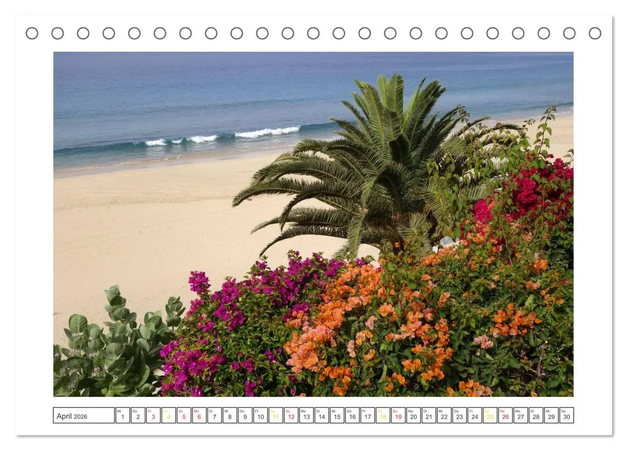Bild: 9783516053531 | Fuerteventura - Insel im Licht (Tischkalender 2026 DIN A5 quer),...