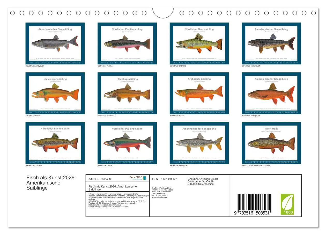 Bild: 9783516503531 | Fisch als Kunst 2026: Amerikanische Saiblinge (Wandkalender 2026...