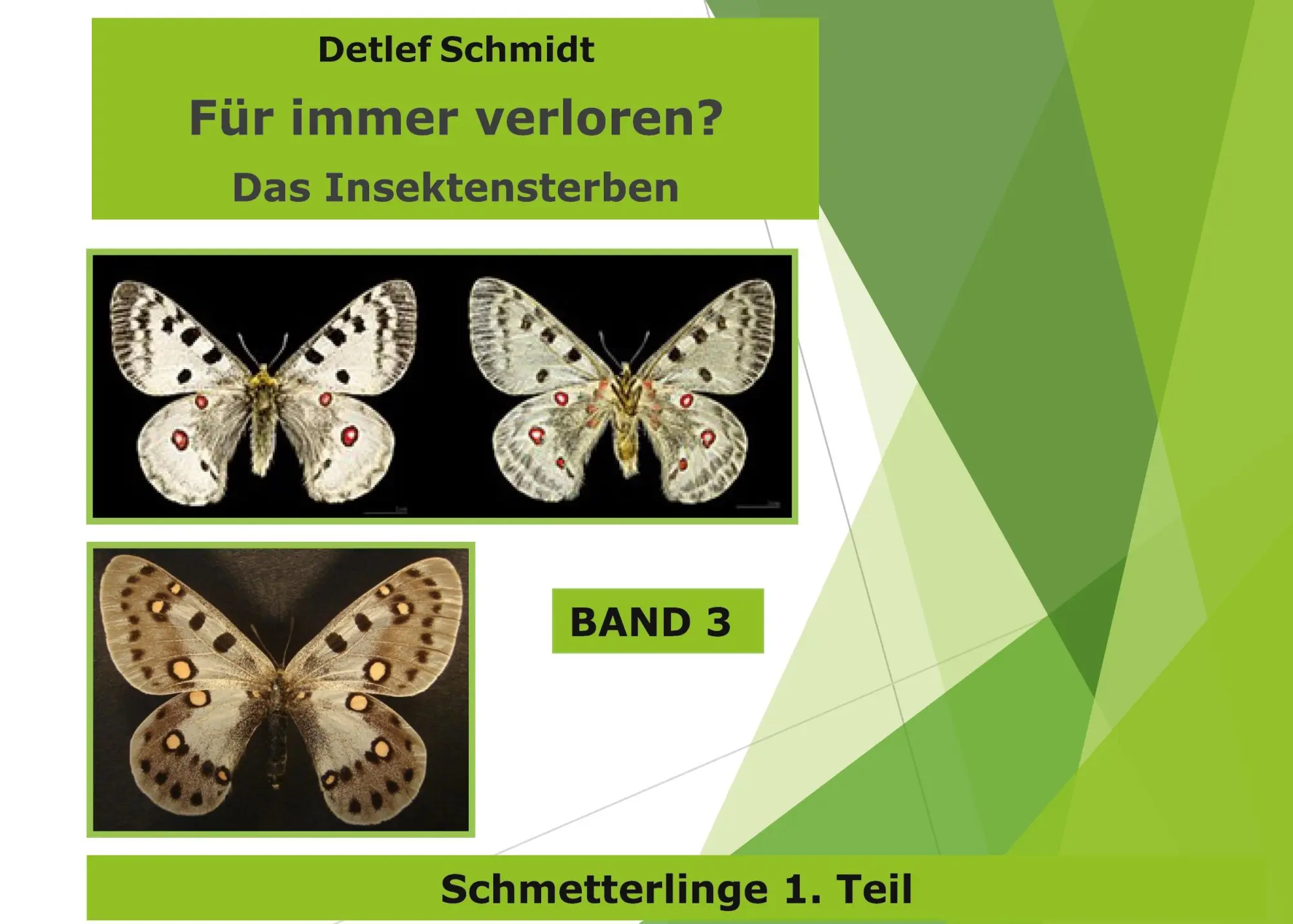 Cover: 9783758303531 | Für immer verloren? | Das Insektensterben | Detlef Schmidt | Buch