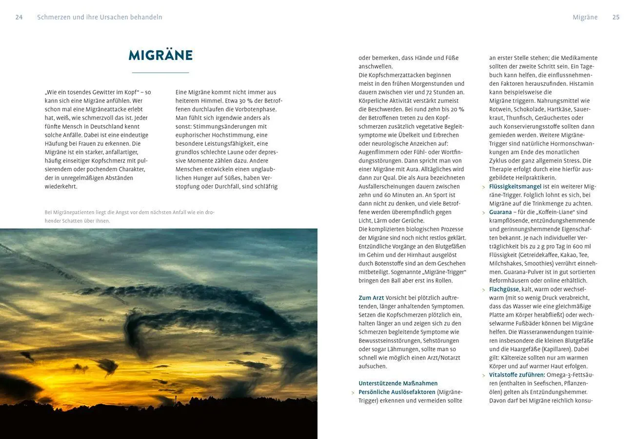 Bild: 9783818623531 | Naturheilkunde gegen Schmerzen und Fieber | Claudia Ritter | Buch