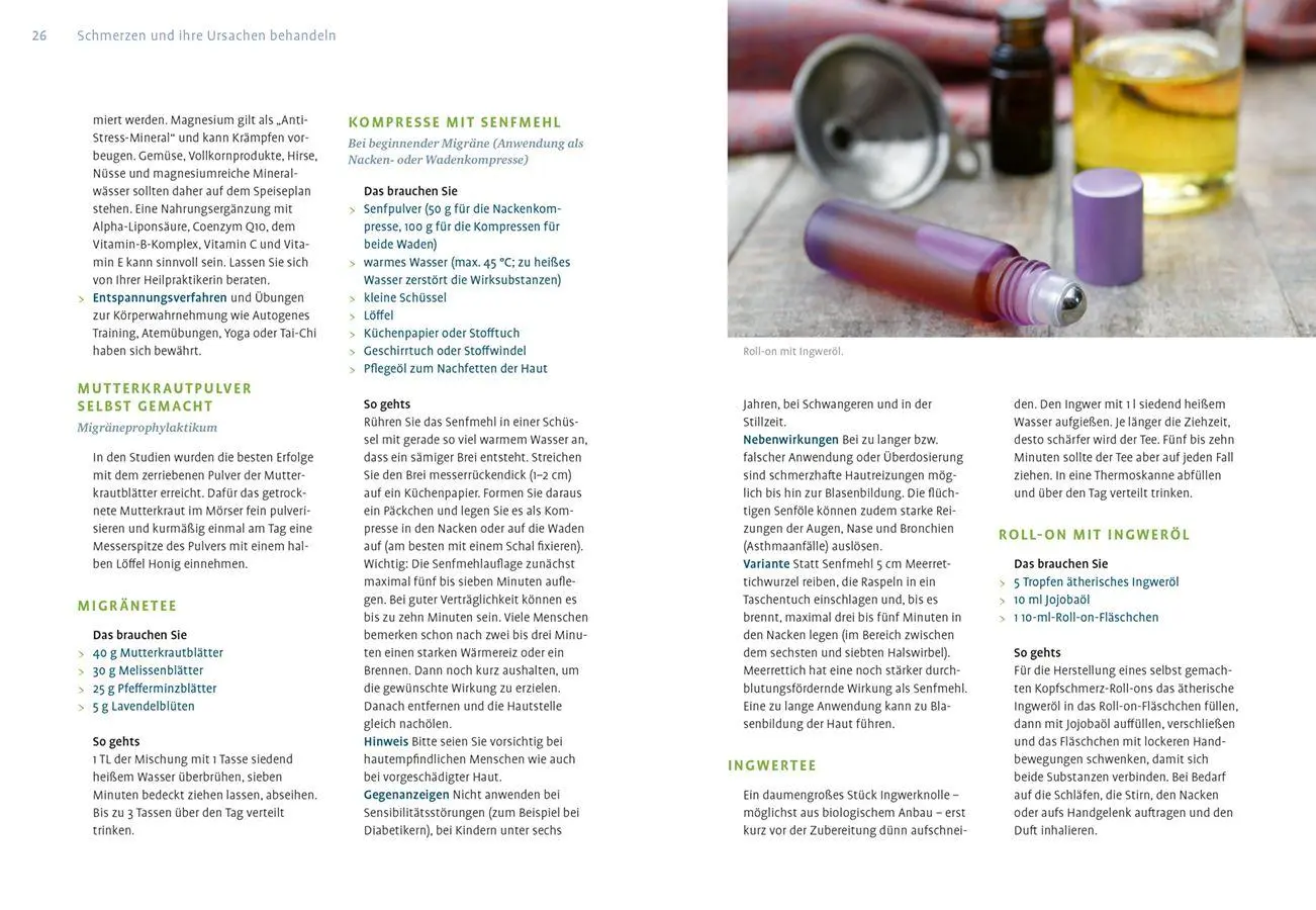 Bild: 9783818623531 | Naturheilkunde gegen Schmerzen und Fieber | Claudia Ritter | Buch