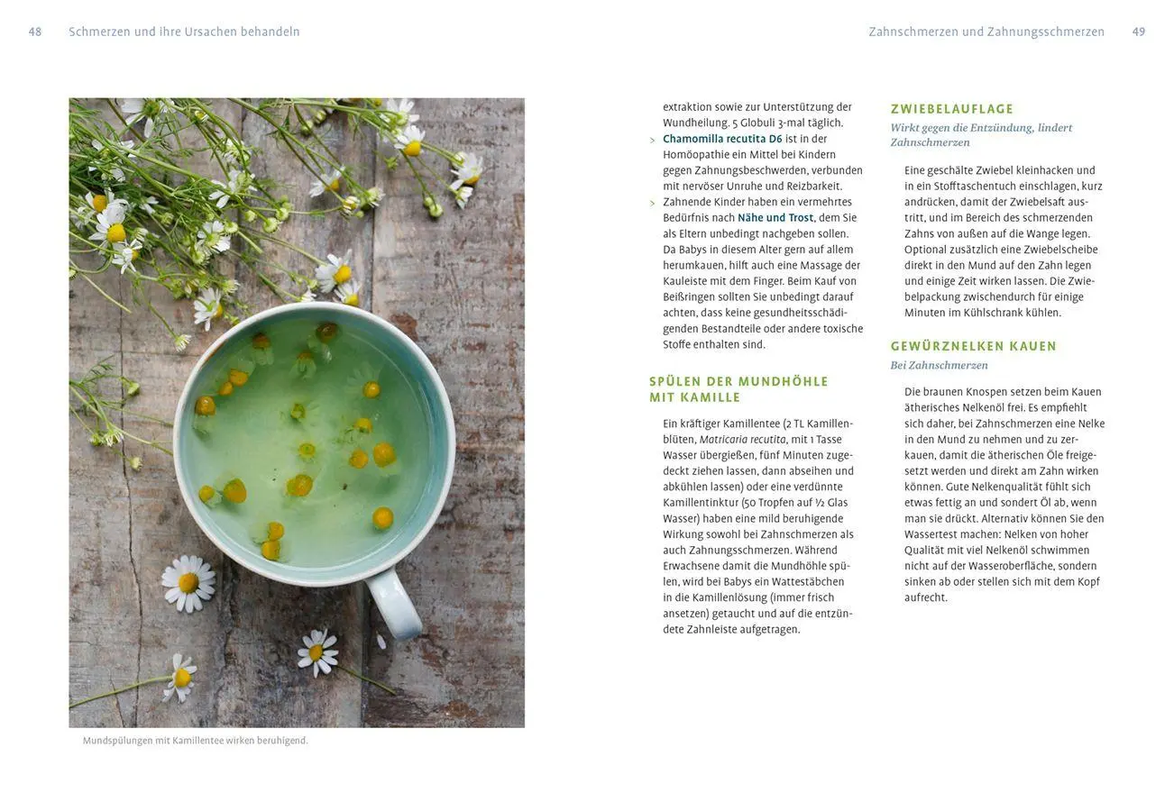 Bild: 9783818623531 | Naturheilkunde gegen Schmerzen und Fieber | Claudia Ritter | Buch