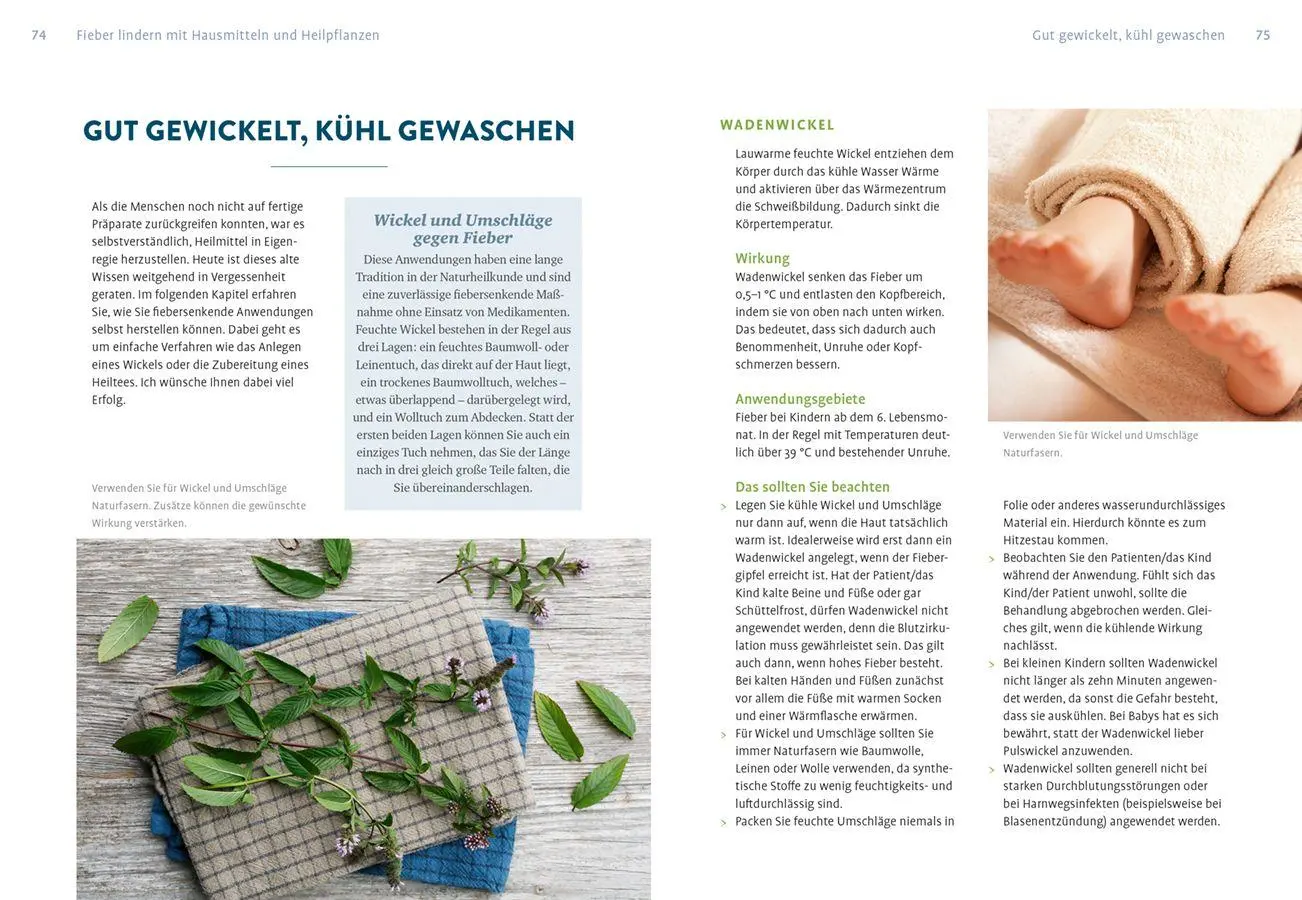 Bild: 9783818623531 | Naturheilkunde gegen Schmerzen und Fieber | Claudia Ritter | Buch