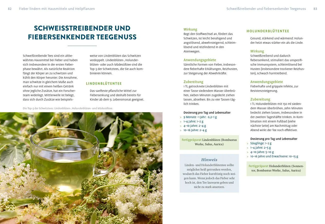 Bild: 9783818623531 | Naturheilkunde gegen Schmerzen und Fieber | Claudia Ritter | Buch
