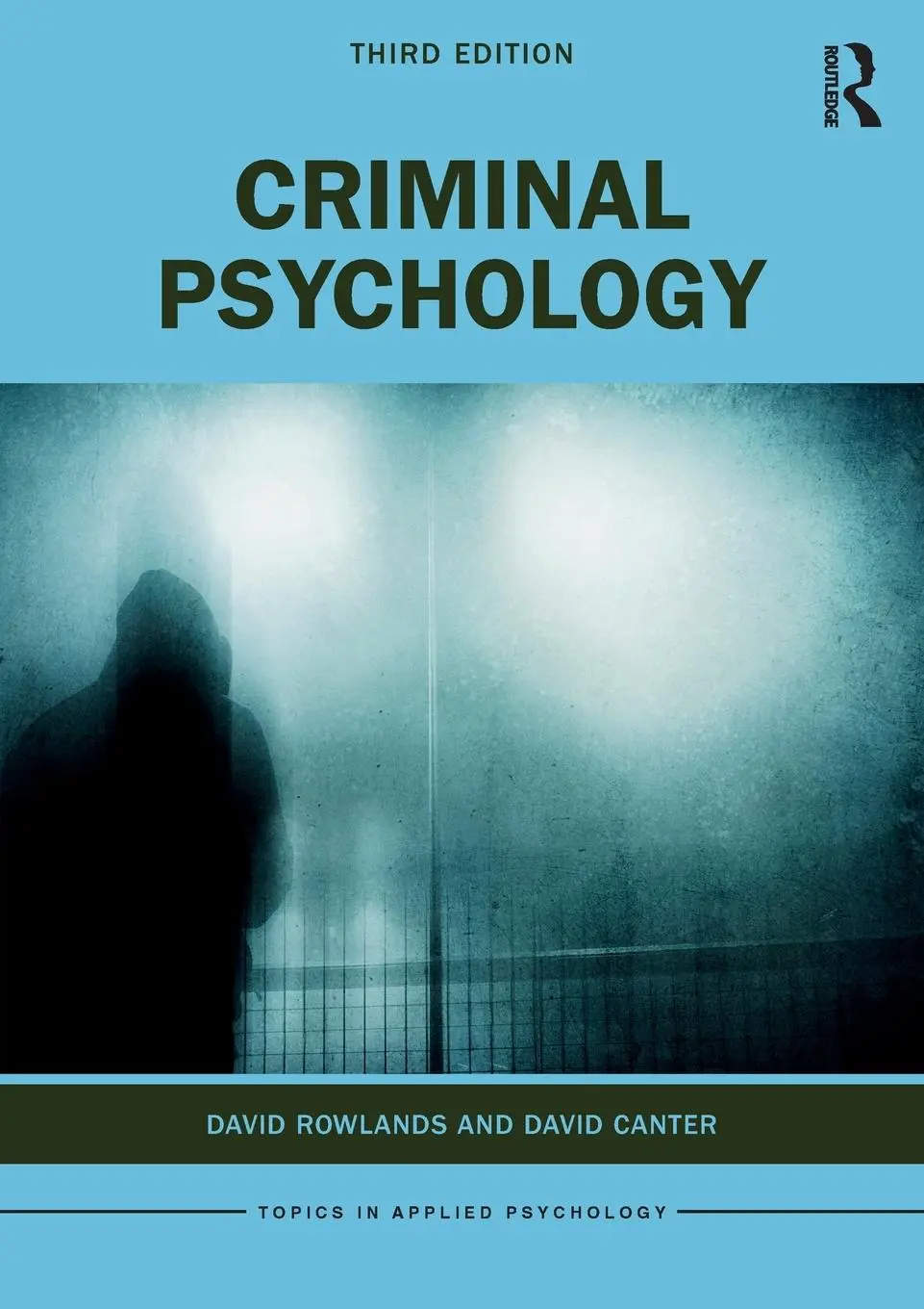 Cover: 9780367773731 | Criminal Psychology | David Rowlands (u. a.) | Taschenbuch | Englisch