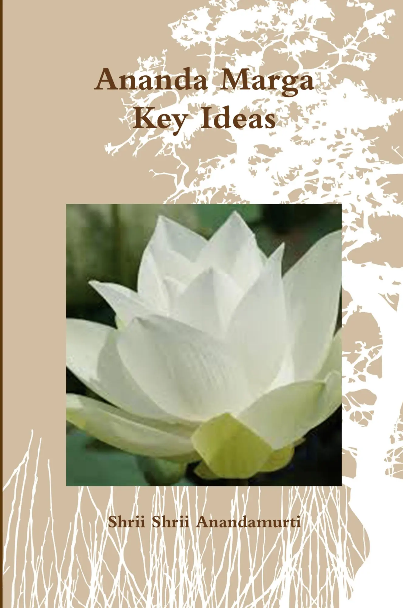 Cover: 9781304133731 | Ananda Marga Key Ideas | Shrii Shrii Anandamurti | Taschenbuch | 2013