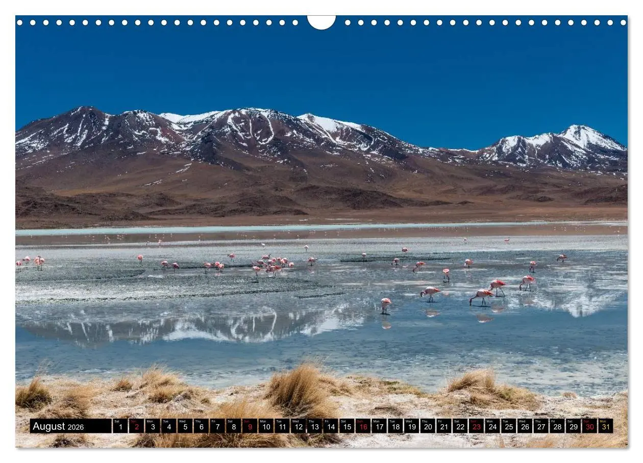 Bild: 9783516583731 | Bolivia Andean landscapes / UK-Version (Wall Calendar 2026 DIN A3...