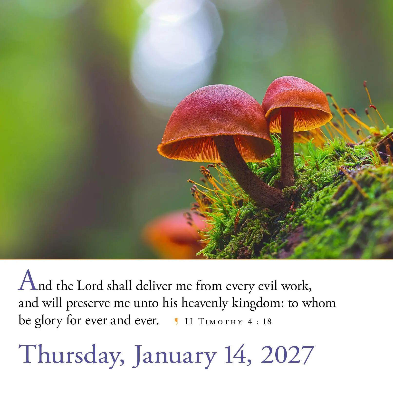 Bild: 9781523533831 | 365 Bible Verses-A-Year Page-A-Day® Calendar 2027 | Workman Calendars