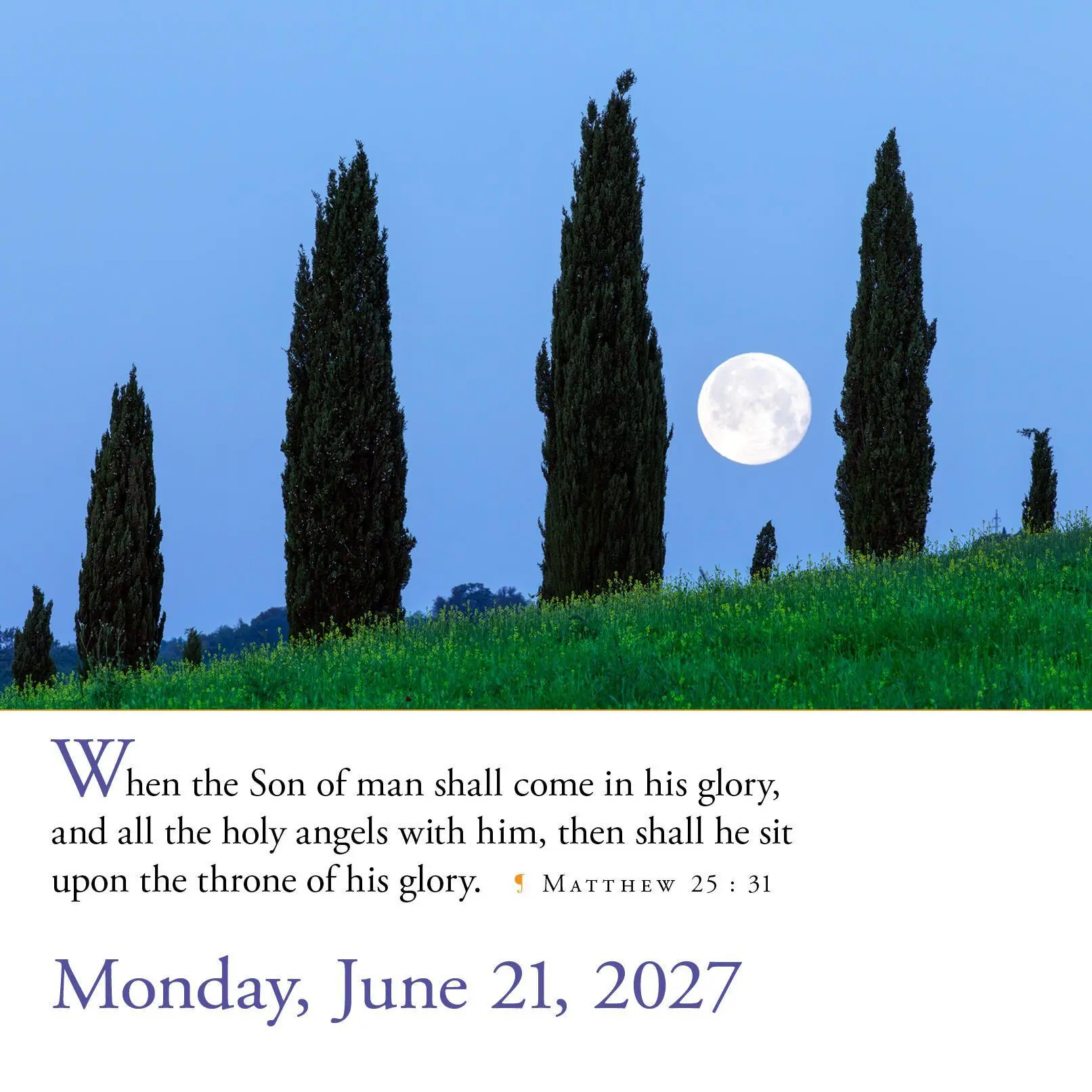 Bild: 9781523533831 | 365 Bible Verses-A-Year Page-A-Day® Calendar 2027 | Workman Calendars