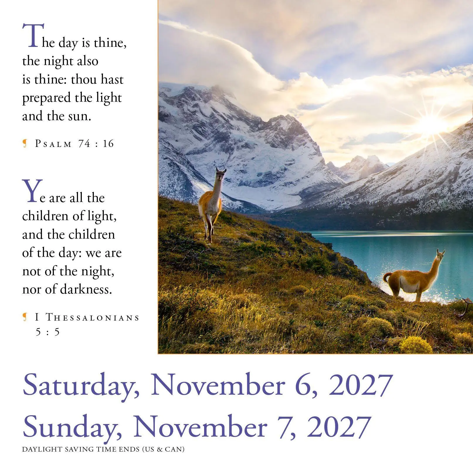 Bild: 9781523533831 | 365 Bible Verses-A-Year Page-A-Day® Calendar 2027 | Workman Calendars