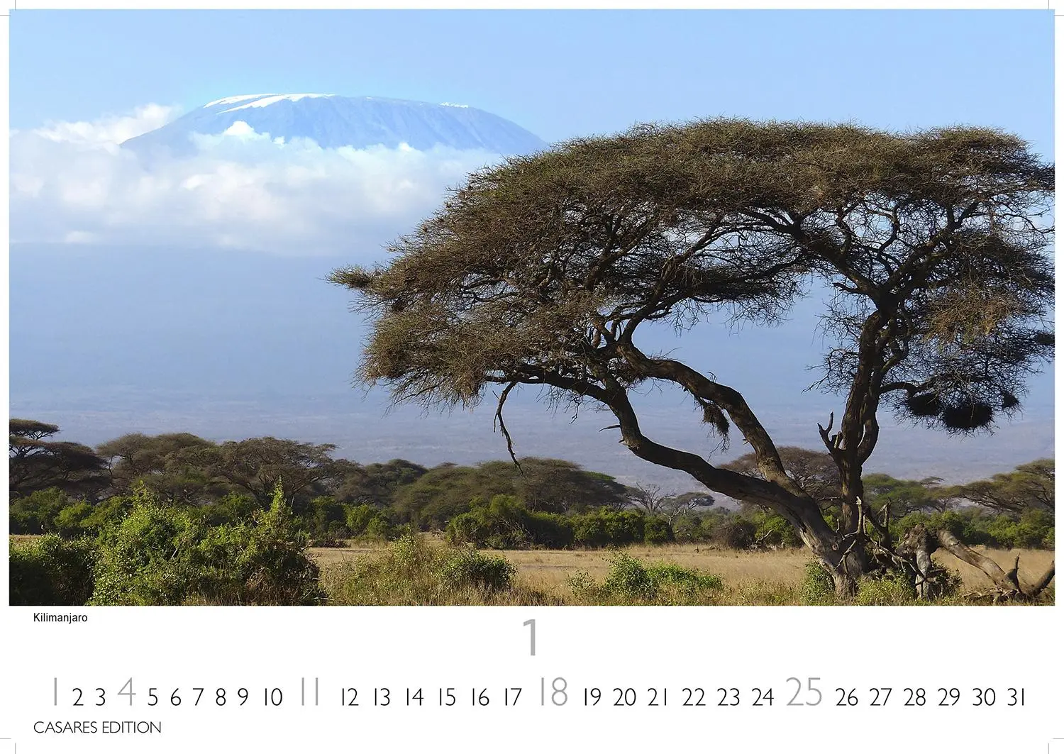 Bild: 9781835243831 | Kenia/Serengeti 2026 S 24x35 cm | Kalender | 14 S. | Deutsch | 2026