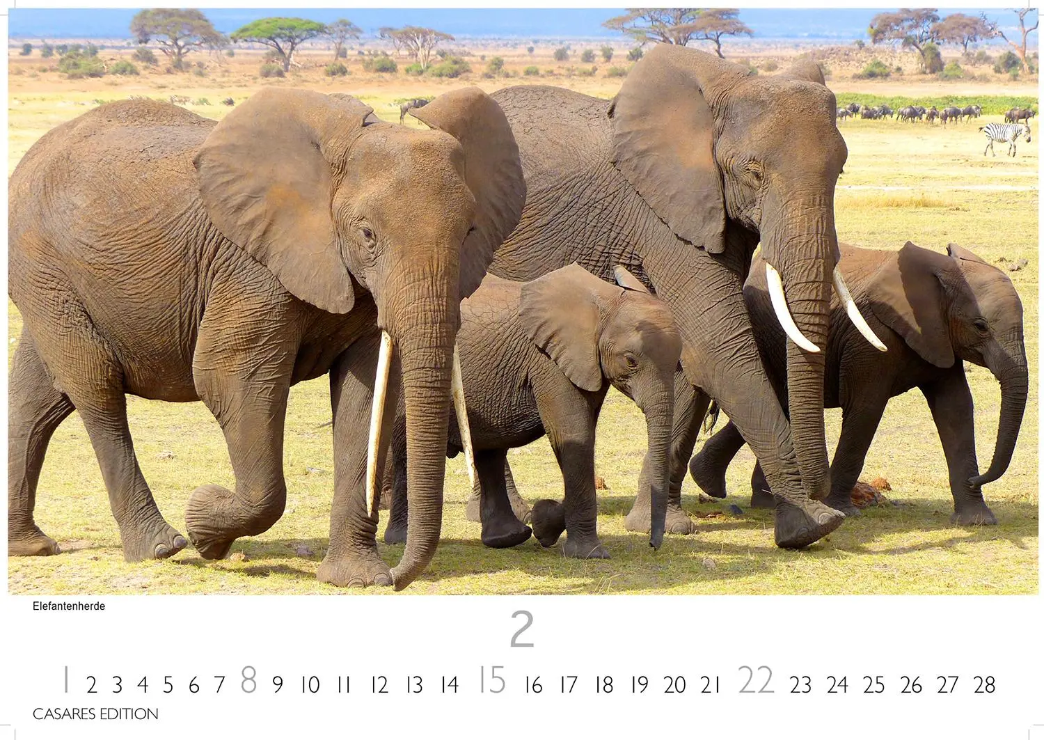Bild: 9781835243831 | Kenia/Serengeti 2026 S 24x35 cm | Kalender | 14 S. | Deutsch | 2026