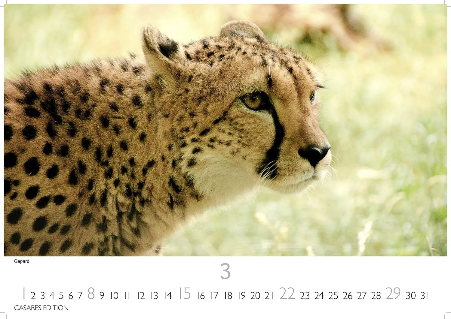 Bild: 9781835243831 | Kenia/Serengeti 2026 S 24x35 cm | Kalender | 14 S. | Deutsch | 2026