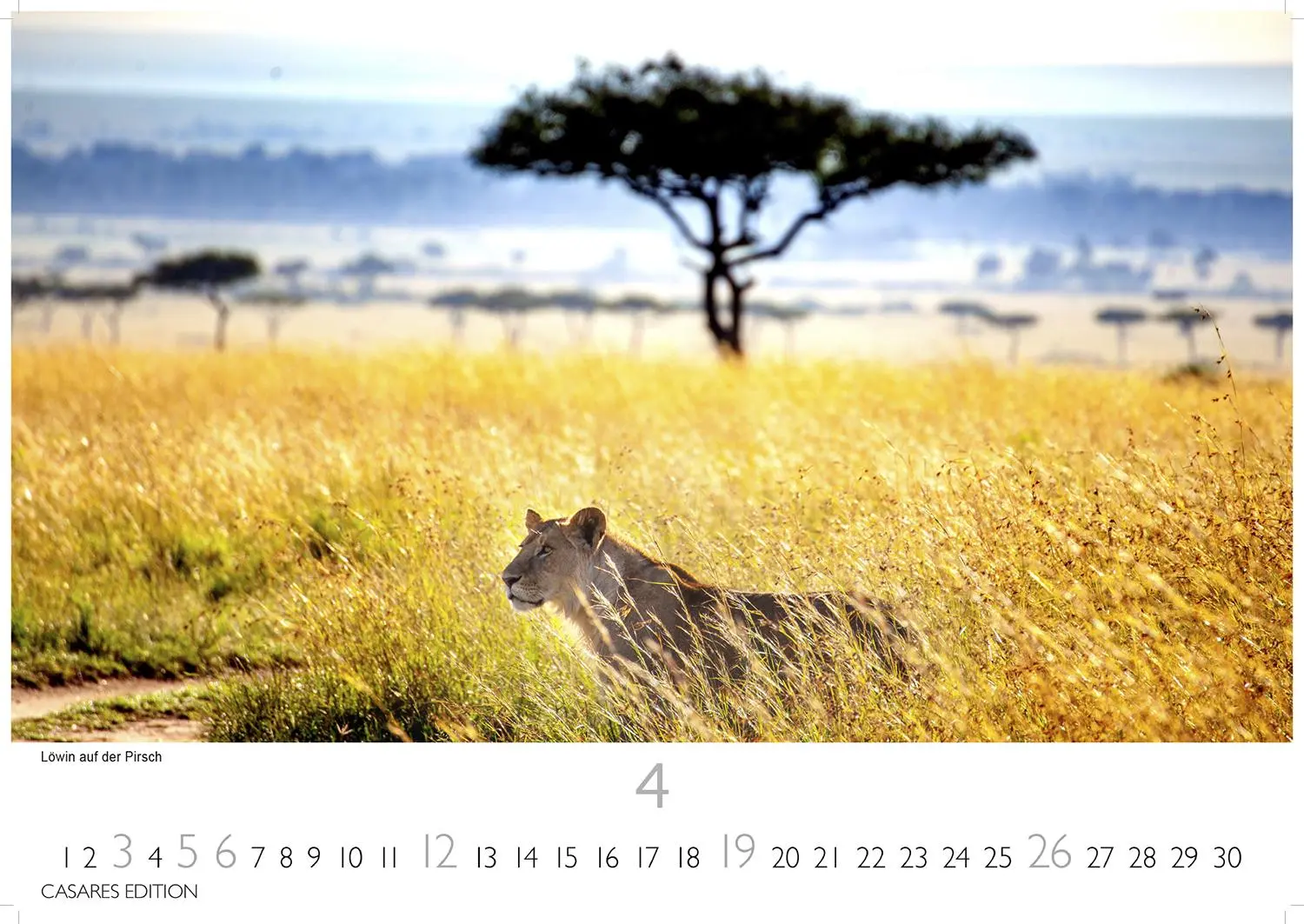 Bild: 9781835243831 | Kenia/Serengeti 2026 S 24x35 cm | Kalender | 14 S. | Deutsch | 2026
