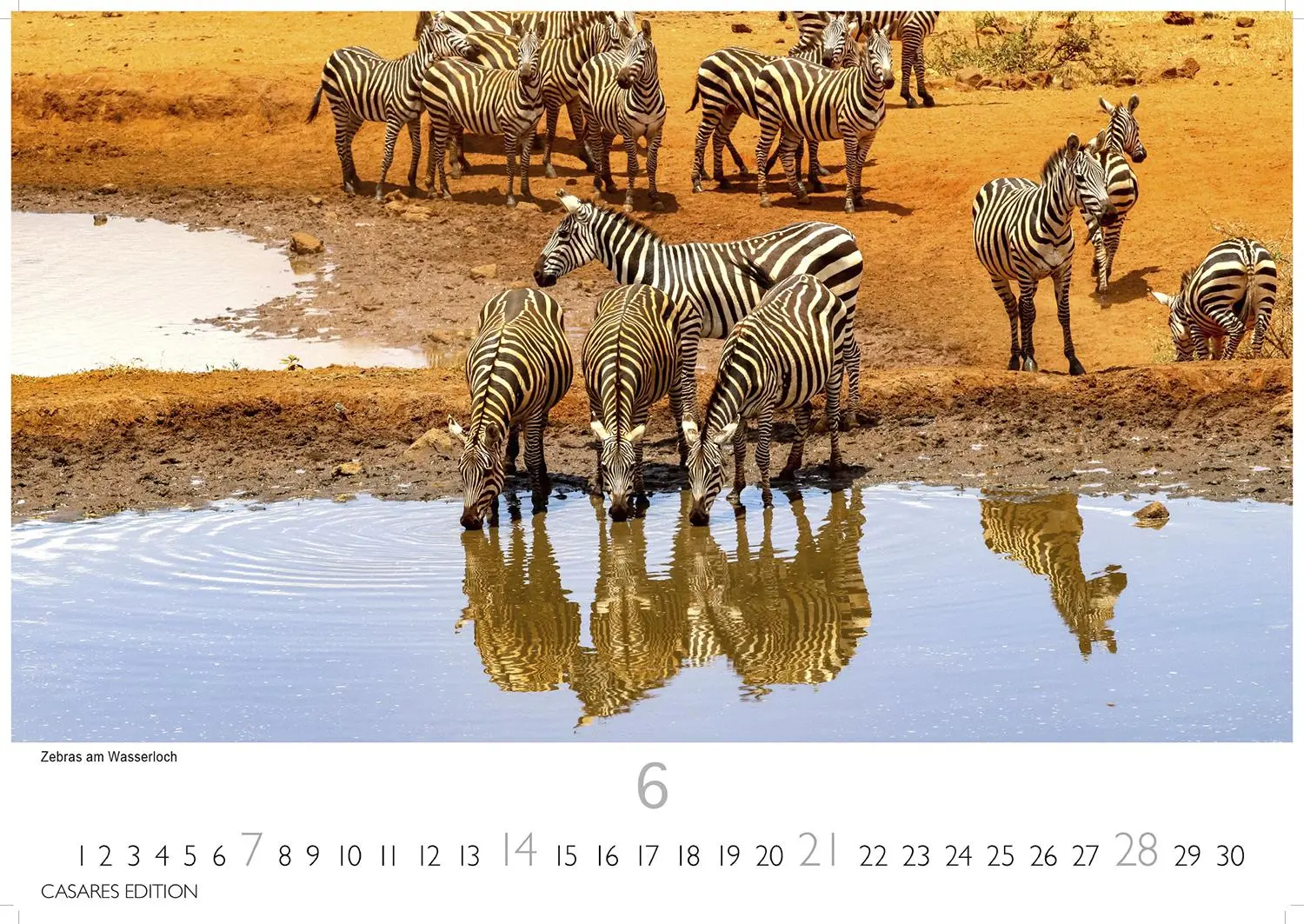 Bild: 9781835243831 | Kenia/Serengeti 2026 S 24x35 cm | Kalender | 14 S. | Deutsch | 2026
