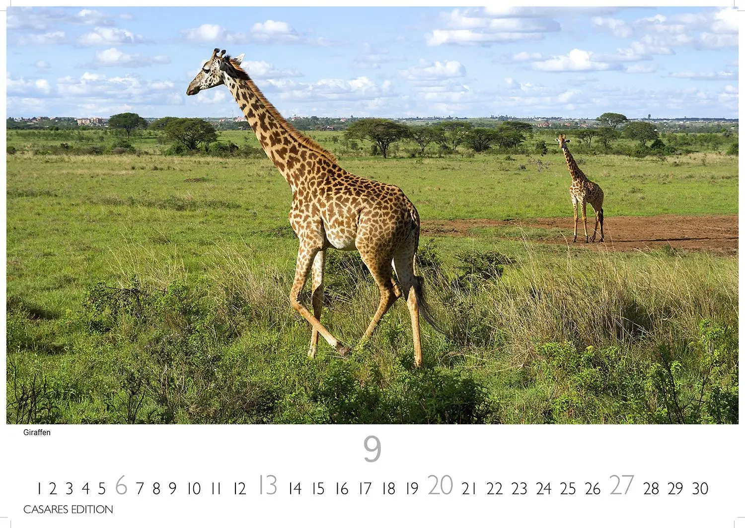 Bild: 9781835243831 | Kenia/Serengeti 2026 S 24x35 cm | Kalender | 14 S. | Deutsch | 2026