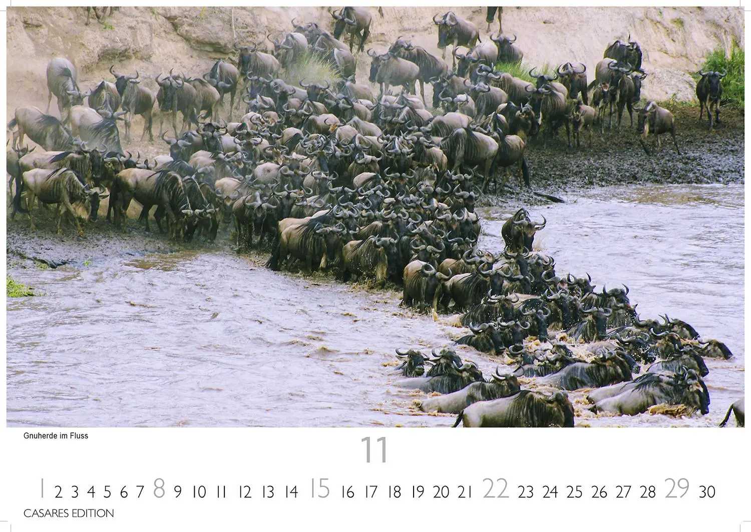 Bild: 9781835243831 | Kenia/Serengeti 2026 S 24x35 cm | Kalender | 14 S. | Deutsch | 2026