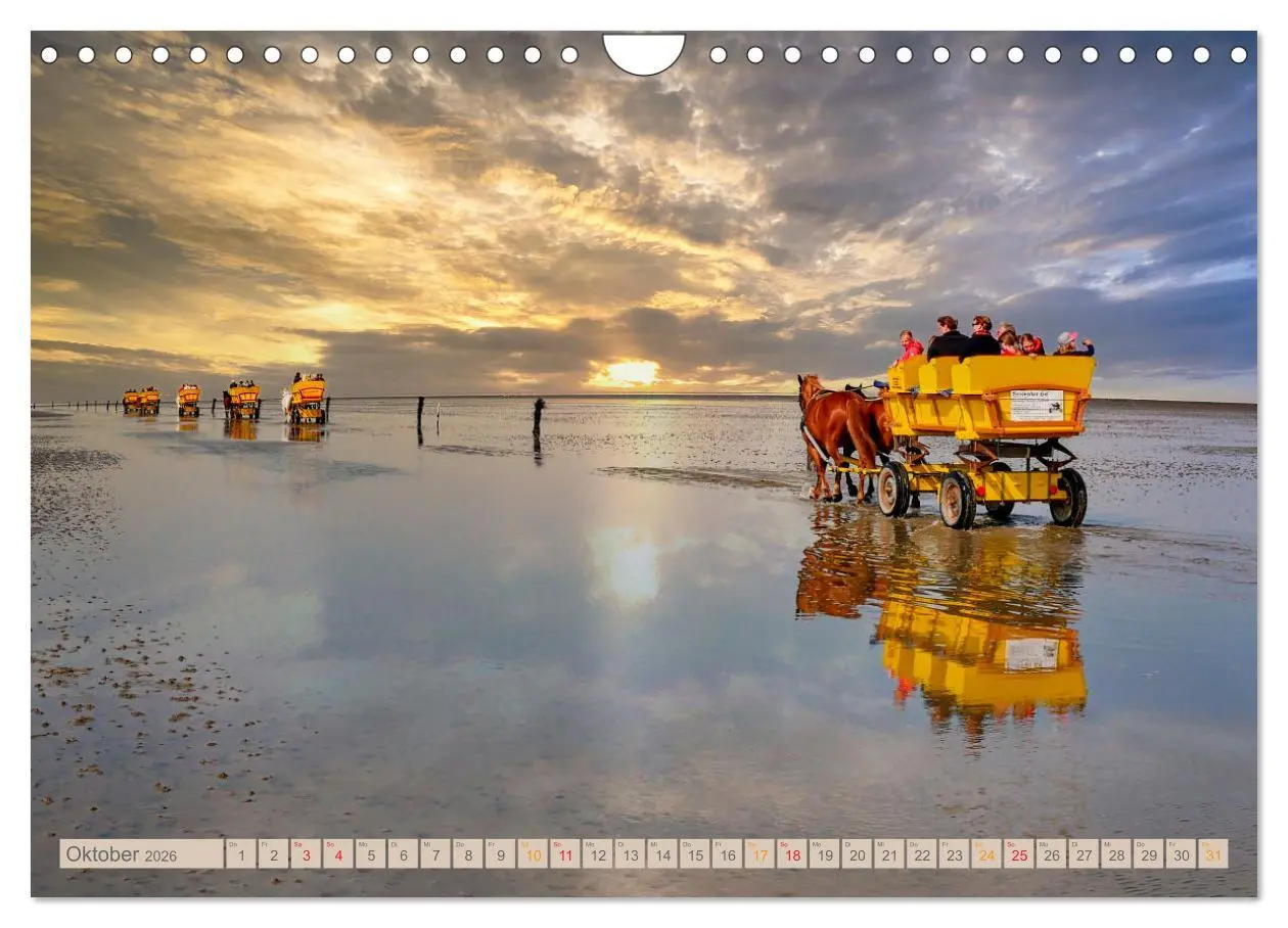 Bild: 9783457623831 | Nordsee-Urlaub (Wandkalender 2026 DIN A4 quer), CALVENDO...