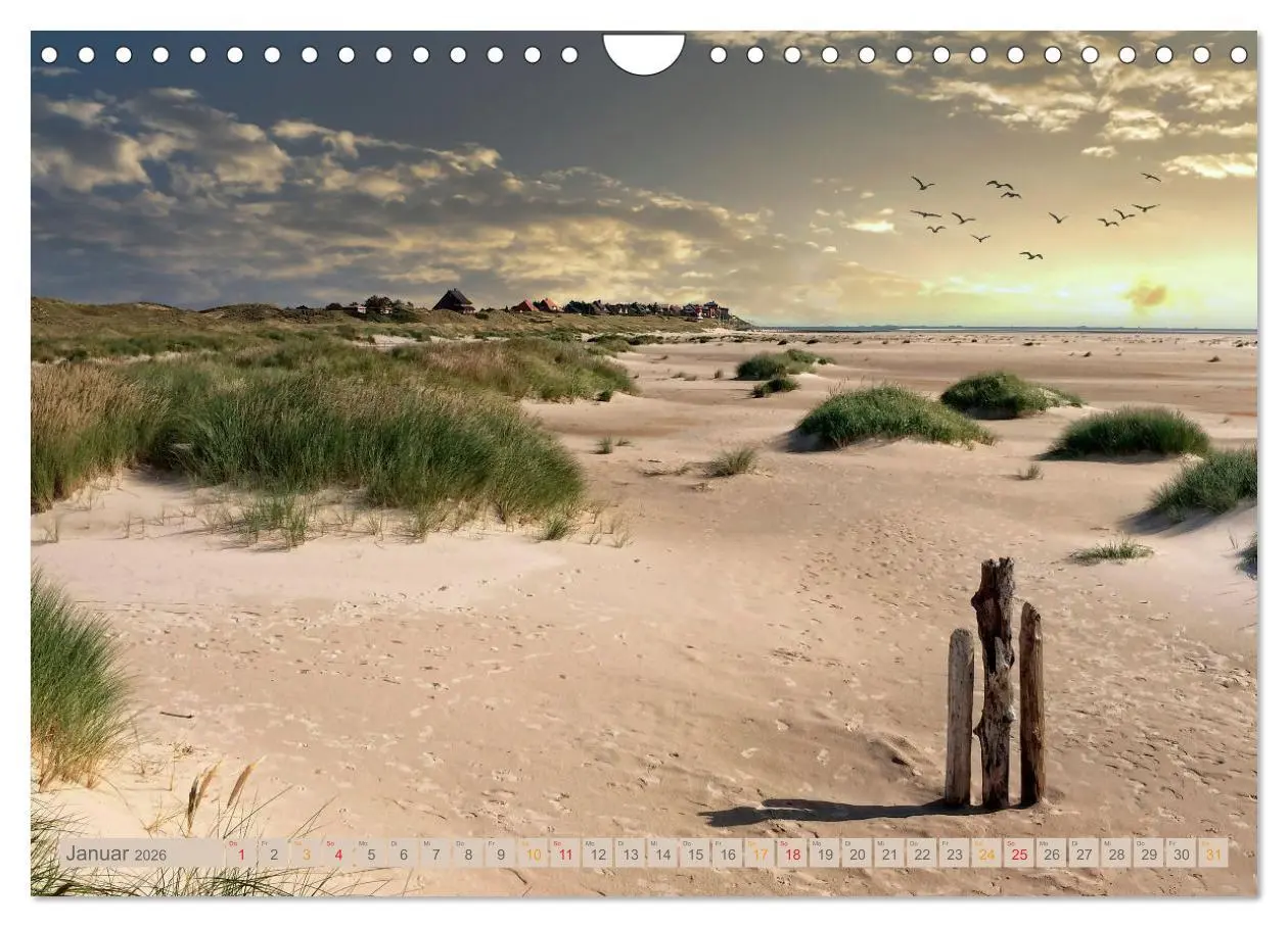 Bild: 9783457623831 | Nordsee-Urlaub (Wandkalender 2026 DIN A4 quer), CALVENDO...