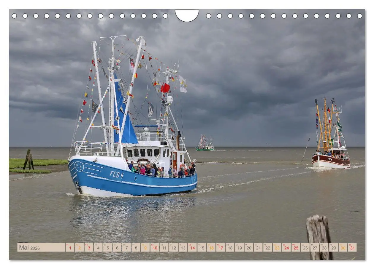 Bild: 9783457623831 | Nordsee-Urlaub (Wandkalender 2026 DIN A4 quer), CALVENDO...