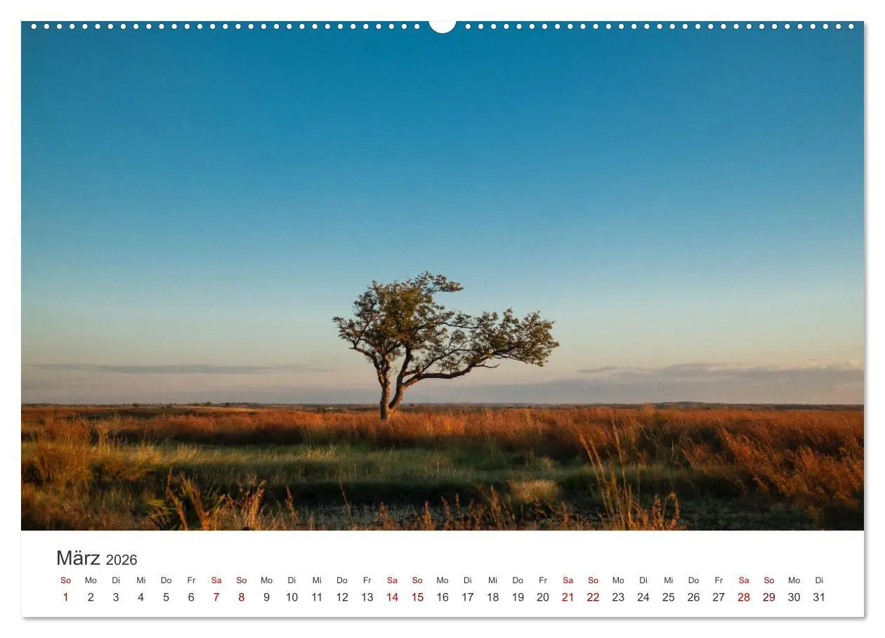 Bild: 9783457613931 | Madagaskar - Eine traumhafte Insel. (Wandkalender 2026 DIN A2...