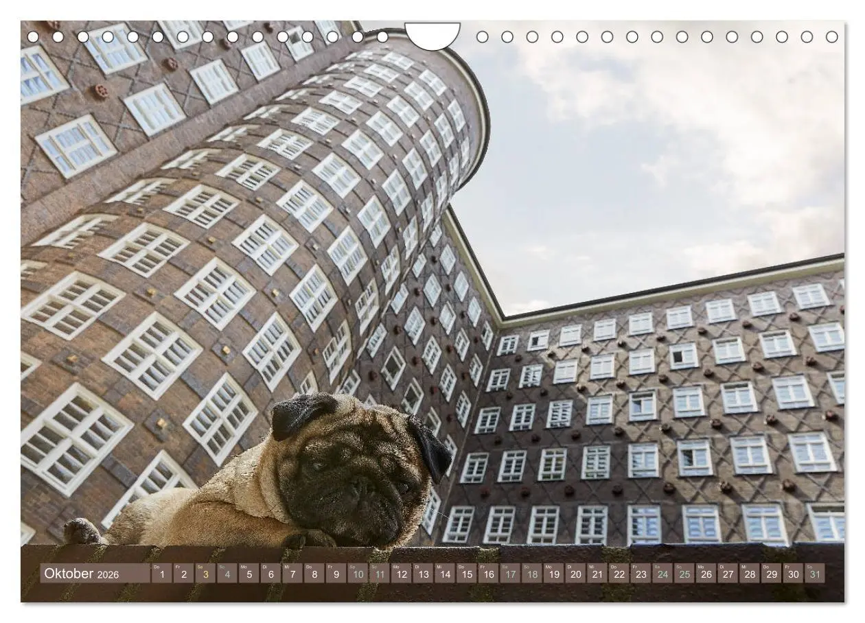 Bild: 9783457853931 | Hamburg - Stadt der Möpse (Wandkalender 2026 DIN A4 quer), CALVENDO...